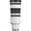 Canon RF 100-300mm f/2.8 L IS USM Lens in India imastudent.com