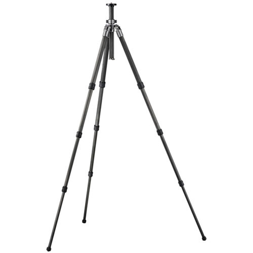 Gitzo GT2541 Mountaineer 6X Carbon Fiber Tripod price in india features reviews specs