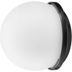 Westcott FJ80 Magnetic Diffusion Dome price in india features reviews specs