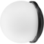 Westcott FJ80 Magnetic Diffusion Dome price in india features reviews specs