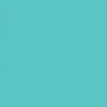 Savage Widetone Seamless Background Paper (#47 Baby Blue, 9' x 36') price in india features reviews specs