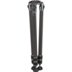 Gitzo GT3543XLS Systematic Series 3 Carbon Fiber Tripod (Extra Long) price in india features reviews specs