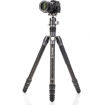 Benro Rhino Carbon Fiber Three Series Travel Tripod with VX30 Head price in india features reviews specs