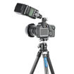 Leofoto F-19 Mini Ball Head price in india features reviews specs