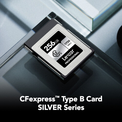 Buy Lexar 256GB Professional CFexpress Type B Card SILVER Series At ...