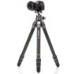 	Benro Tortoise Columnless Carbon Fiber Three Series Tripod with GX35 Ball Head india features reviews specs