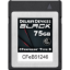 Delkin Devices 75GB BLACK CFexpress Type B Memory Card india features reviews specs