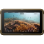 Atomos Ninja 5.2" 4K HDMI Recording Monitor in india features reviews specs	