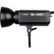 Godox SL-100Y LED Video Light (Tungsten-Balanced) india features reviews specs	