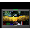 Lilliput Q24-VBP 23.6" 12G-SDI/HDMI Broadcast Studio Monitor (V-Mount) india features reviews specs	