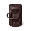 Bang & Olufsen Beosound Explore Wireless Bluetooth speaker india features reviews specs	