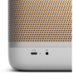 Bang & Olufsen Beolit 20 Wireless Bluetooth Speaker india features reviews specs	