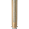 Bang & Olufsen Beosound Emerge Wireless Bookshelf Wi-Fi Speaker india features reviews specs