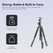 Digitek DTR 540 BH Heavy Duty Tripod Cum Monopod in india features reviews specs	