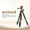Digitek DTR 620 BH Multi-Angle 6ft DV Tripod Cum Monopod in india features reviews specs	