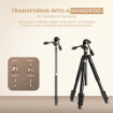 Digitek DTR 620 BH Multi-Angle 6ft DV Tripod Cum Monopod in india features reviews specs	