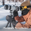 PGYTECH Master Photography Gloves (Large) in india features reviews specs	