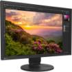 EIZO ColorEdge CS2400S 24.1" Monitor in india features reviews specs