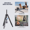 Neewer TP62 Carbon Fiber Travel Tripod with Ball Head in india features reviews specs