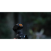 Haida NanoPro Magnetic 4-Filter Kit for DJI Osmo Pocket 3 and 4 in india features reviews specs