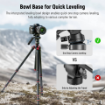 Neewer GM27 Tripod Fluid Head with Leveling Base in india features reviews specs
