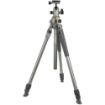 Picture of Vanguard Alta Pro 2 263AB100 Aluminum-Alloy Tripod with BH-100 Ball Head Kit