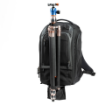 Think Tank Photo Walker Pro Backpack (30L) india features reviews specs